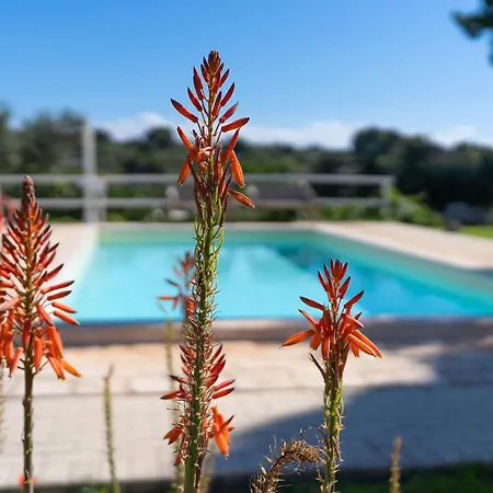 Trullo Theodoro Puglia * Ceglie Messapica