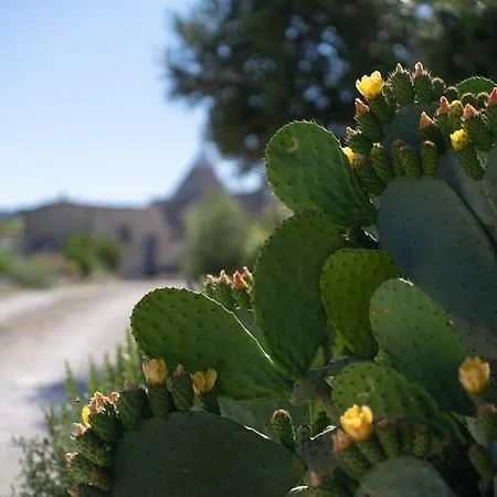 Villa Trullo Theodoro Puglia